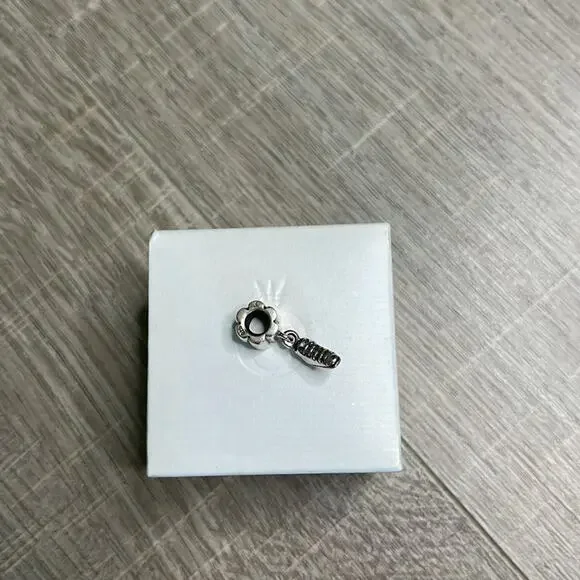 7 PANDORA Silver Bracelet Charms - Picture 14 of 16
